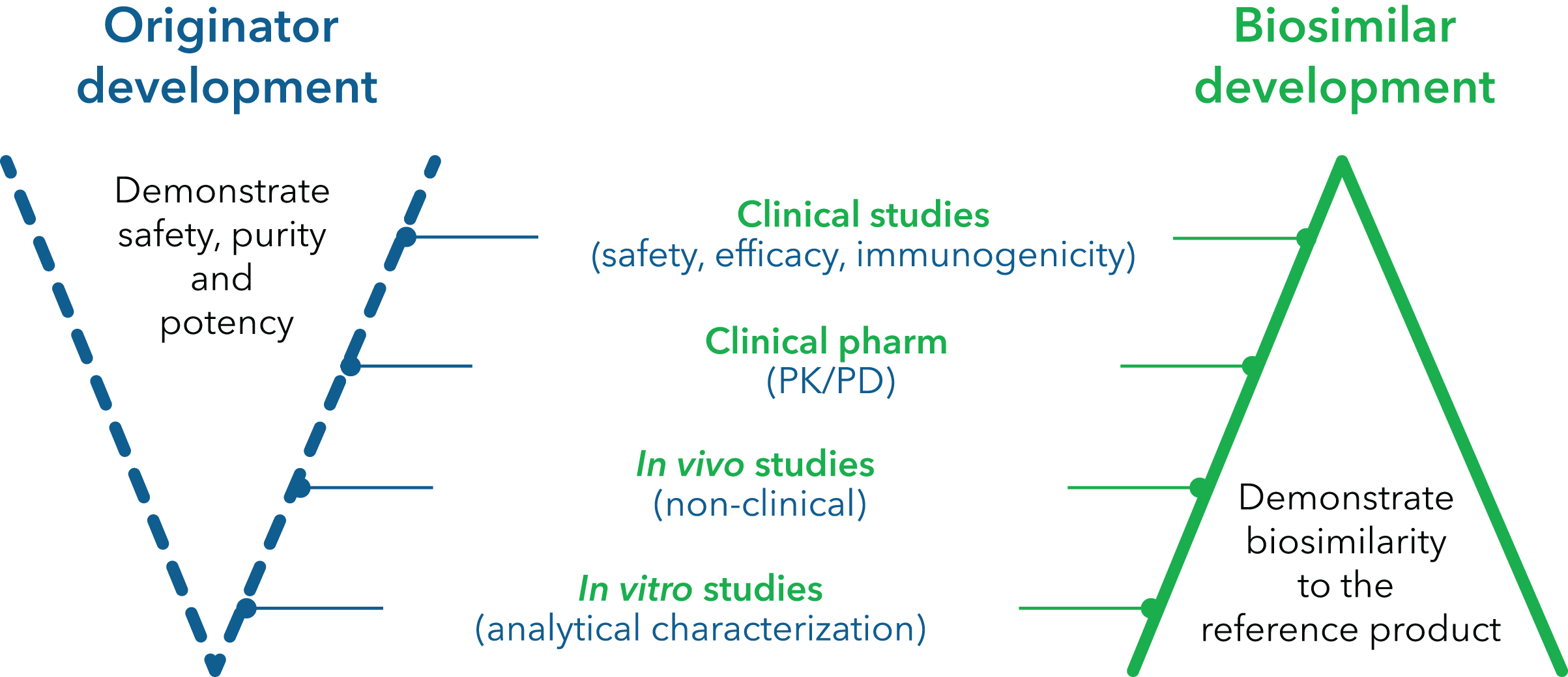 Originator development, demonstrate safety, purity and potency clinical studies (safety, efficacy, immunogenicity) (PK/PD) In vido studies (non-clinical) in vitro studies (analytical characterization) Biosimilar develoment - demonstrate biosimilarit to the reference product.