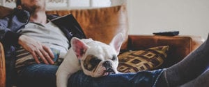 A man and his dog share a cozy moment together on a couch