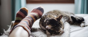 A cat comfortably resting on a bed beside a person's feet, creating a cozy and serene atmosphere.